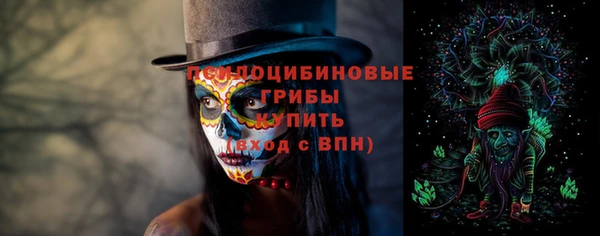 PSILOCYBIN Карпинск