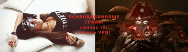 PSILOCYBIN Карпинск