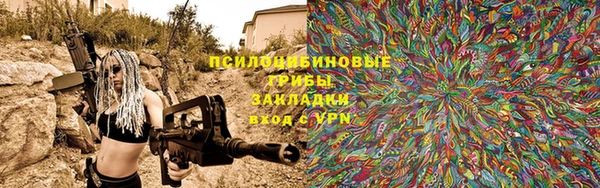 PSILOCYBIN Карпинск