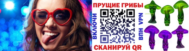 Купить закладки  Вязники  Псилоцибиновые грибы MAGIC MUSHROOMS 
